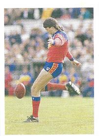 1991 Select AFL Stickers #102 Paul Roos Front